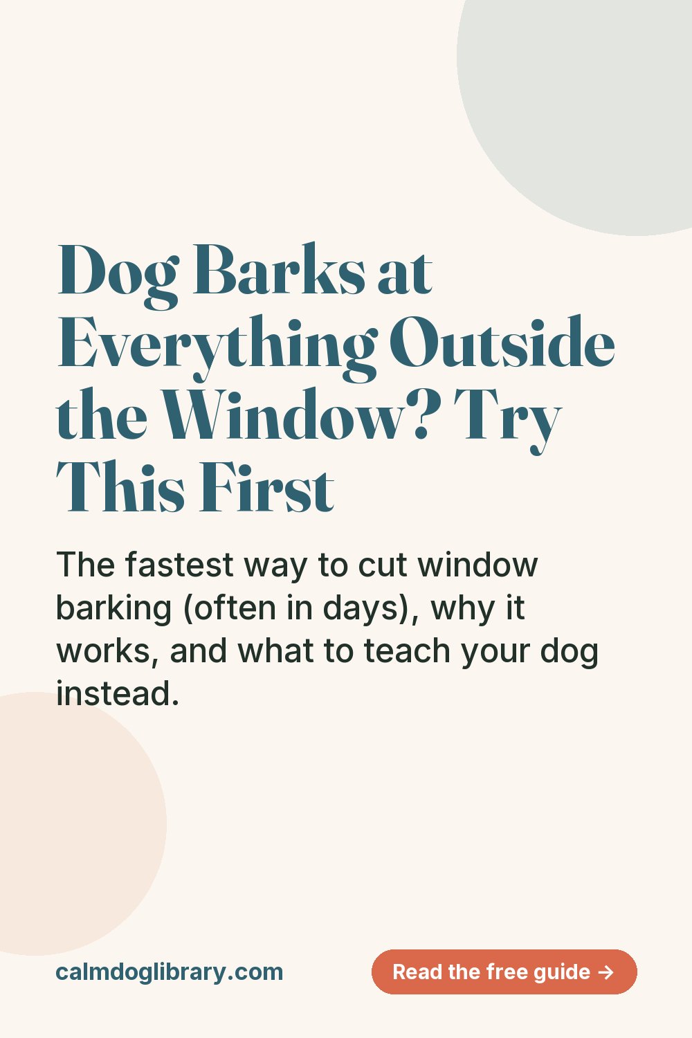 Dog Barks at Everything Outside the Window? Try This First (pin)