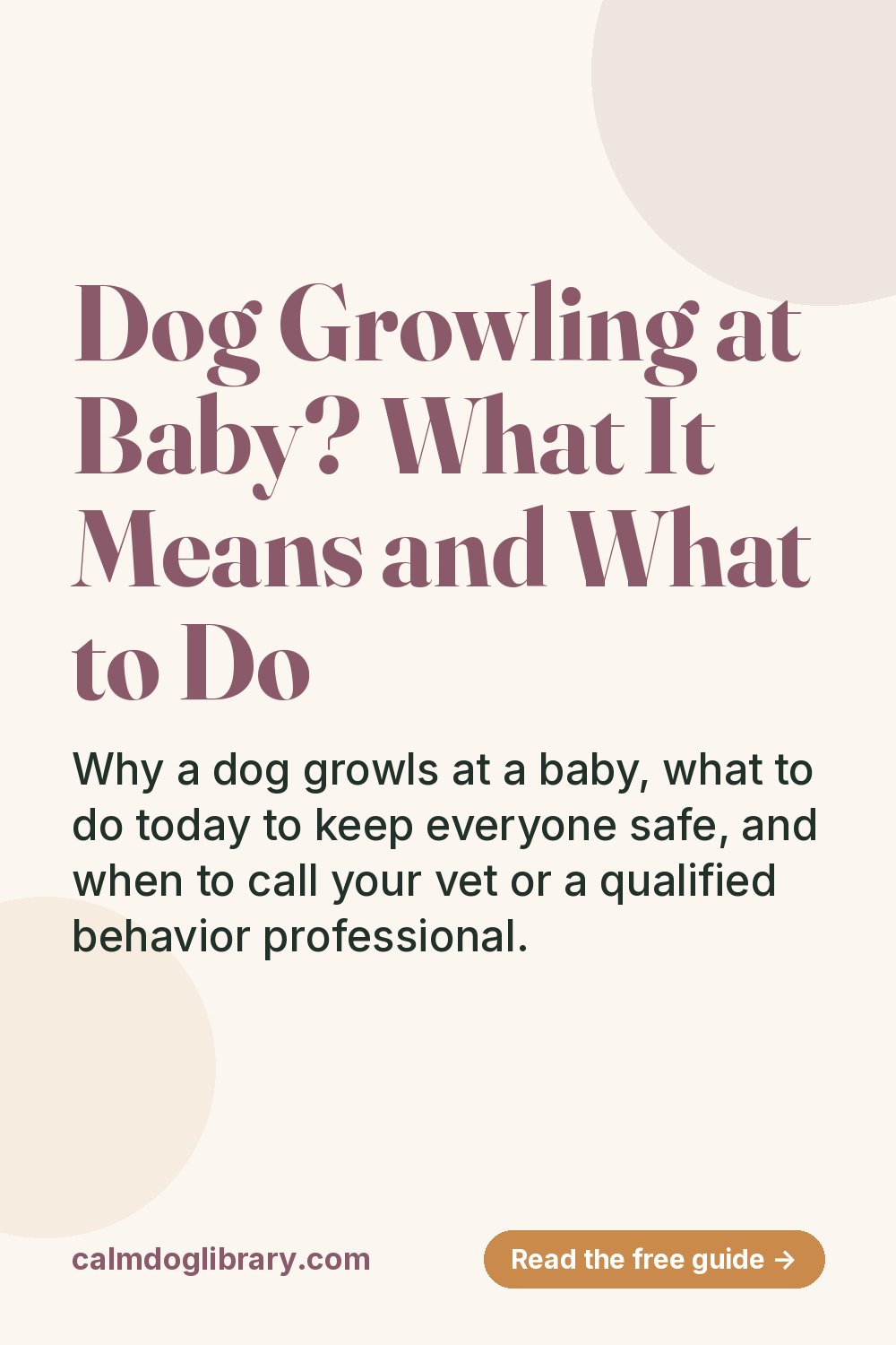 Dog Growling at Baby? What It Means and What to Do (pin)