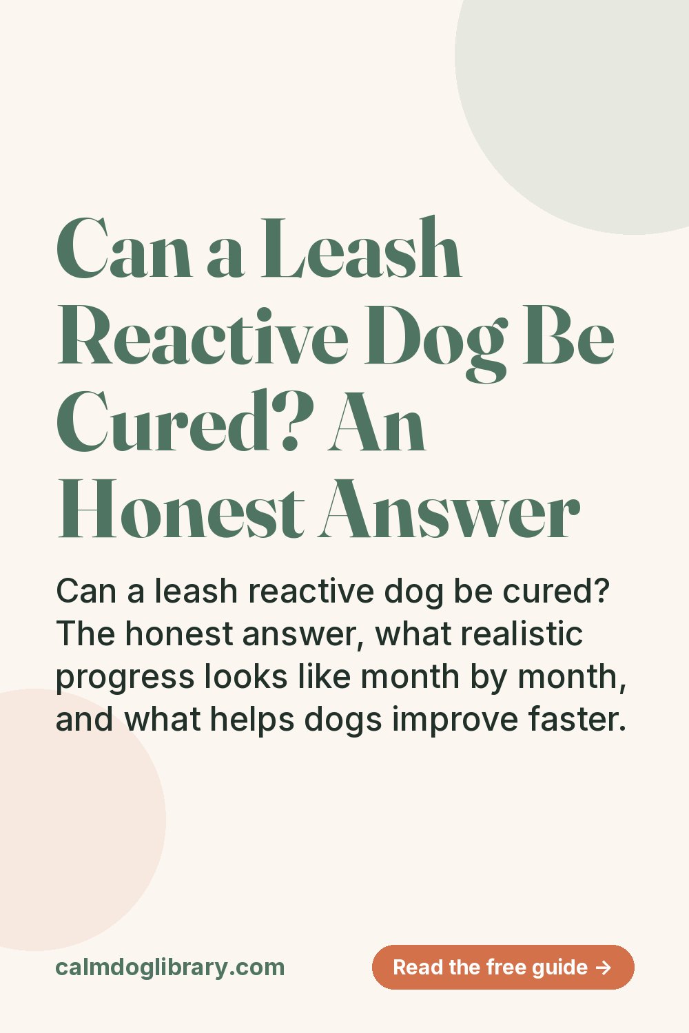 Can a Leash Reactive Dog Be Cured? An Honest Answer (pin)