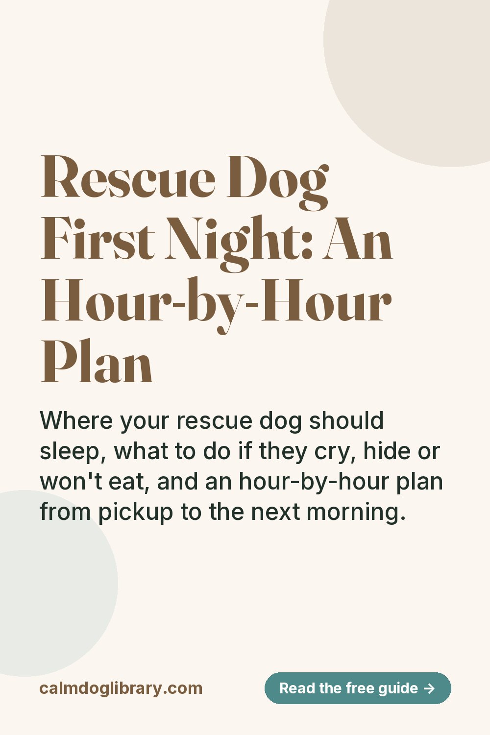 Rescue Dog First Night: An Hour-by-Hour Plan (pin)