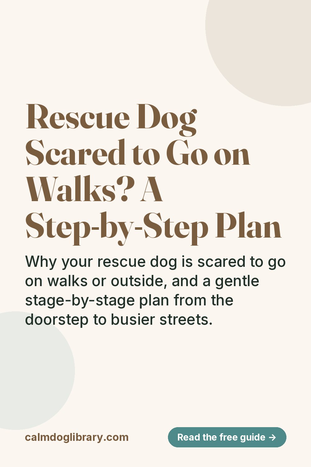 Rescue Dog Scared to Go on Walks? A Step-by-Step Plan (pin)
