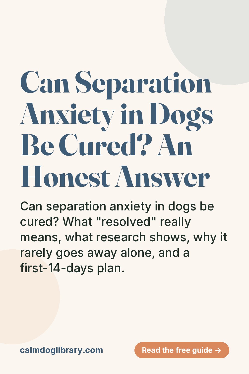 Can Separation Anxiety in Dogs Be Cured? An Honest Answer (pin)
